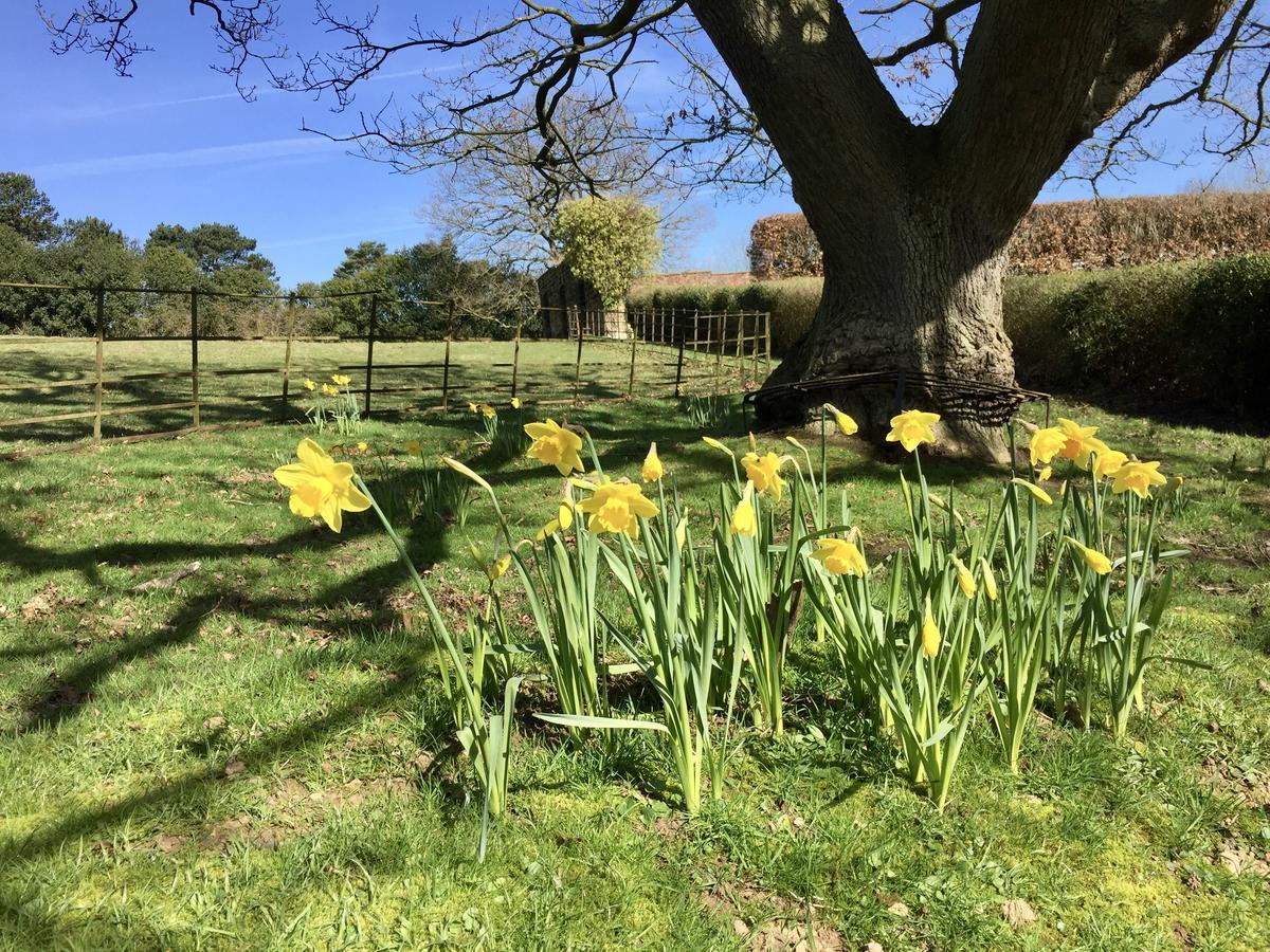 The Wrea Head Hall Country House Hotel & Restaurant Scarborough Eksteriør billede