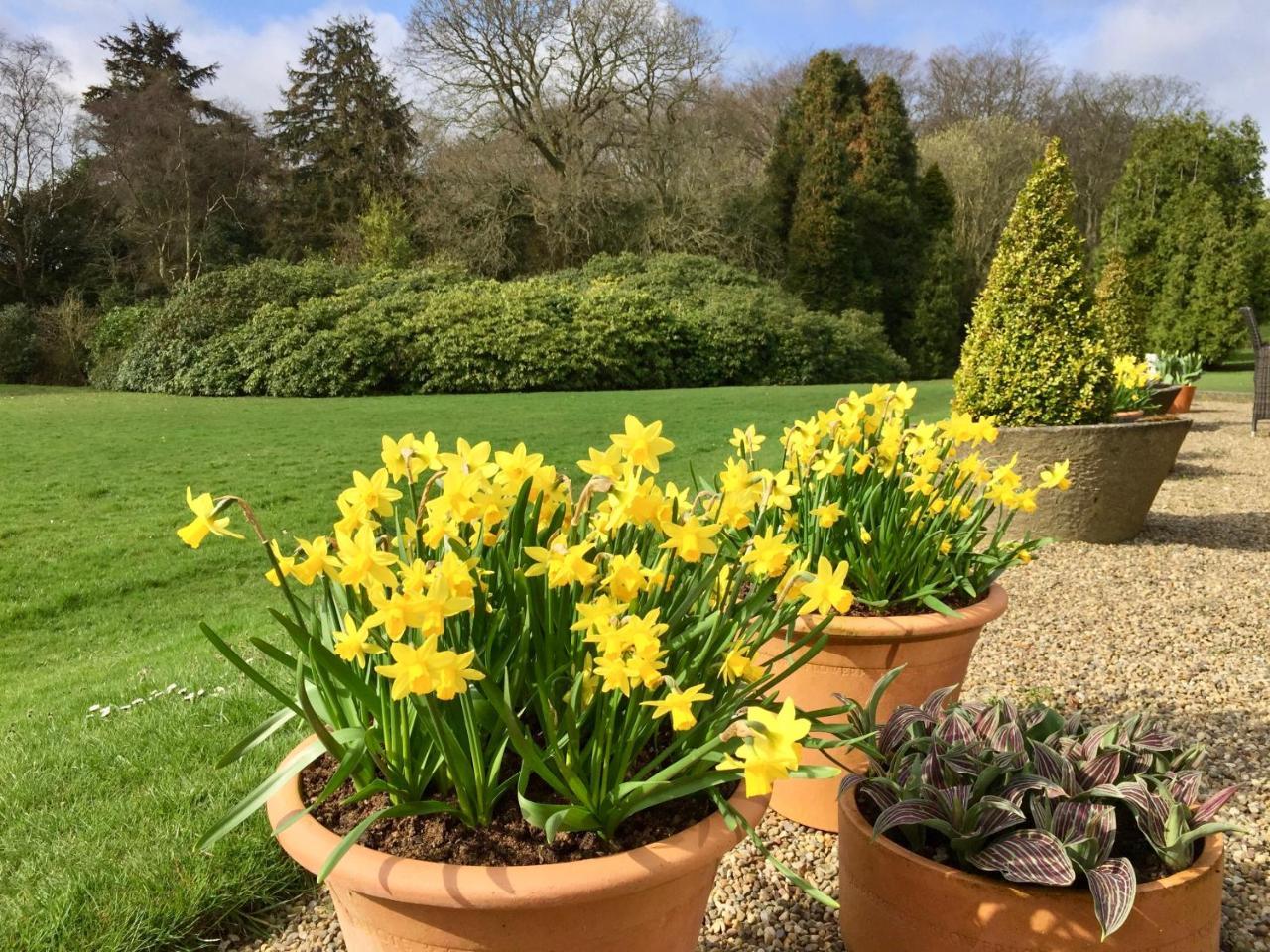 The Wrea Head Hall Country House Hotel & Restaurant Scarborough Eksteriør billede